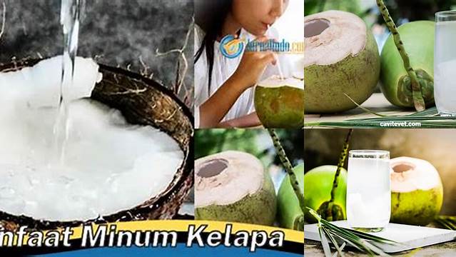Ungkap 7 Manfaat Minum Kelapa yang Jarang Diketahui