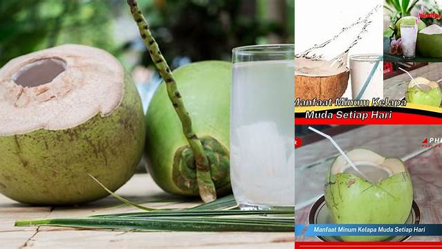 Temukan Rahasia Manfaat Minum Kelapa Muda Setiap Hari yang Jarang Diketahui