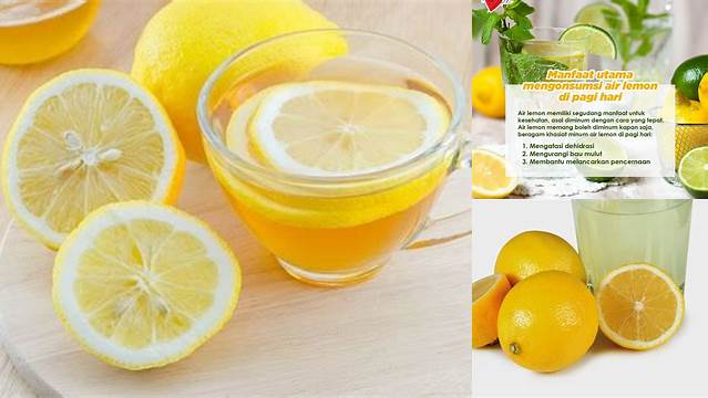 Manfaat Minum Lemon yang Tak Terduga, Wajib Tahu!