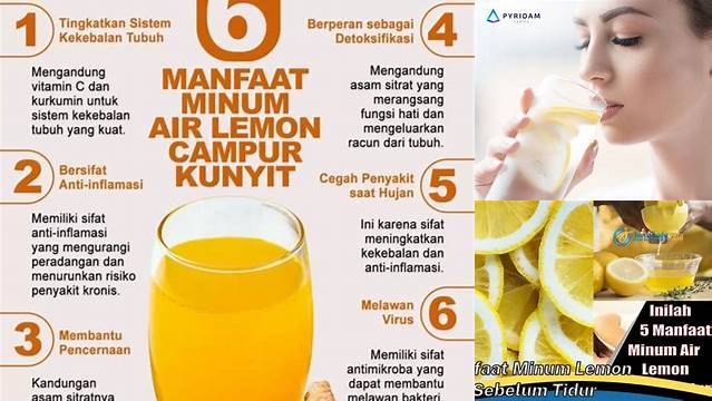 Manfaat Minum Lemon yang Tak Terduga, Wajib Tahu!