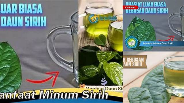 Temukan 7 Manfaat Minum Sirih yang Jarang Diketahui