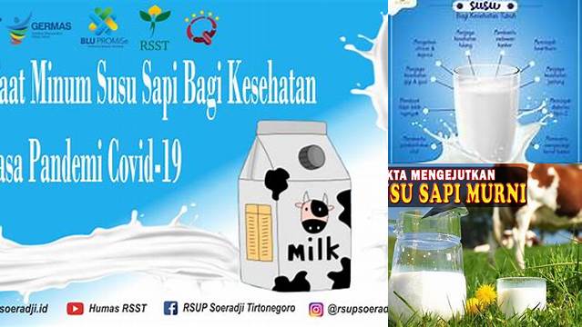 Temukan 8 Manfaat Minum Susu Sapi yang Jarang Diketahui