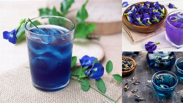 Temukan Khasiat Minum Teh Bunga Telang yang Jarang Diketahui