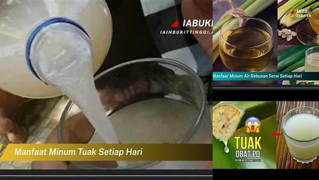 Manfaat Minum Tuak Setiap Hari yang Jarang Diketahui