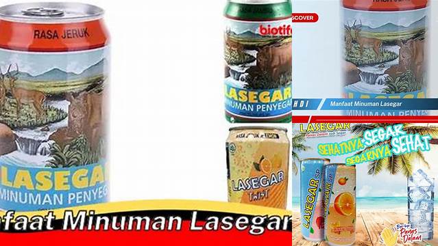 Manfaat Minuman Lasegar yang Belum Kamu Ketahui