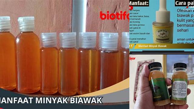 Temukan Manfaat Minyak Biawak untuk Payudara yang Jarang Diketahui!