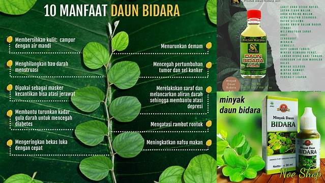9 Manfaat Minyak Bidara, Rahasia Sehat Alami
