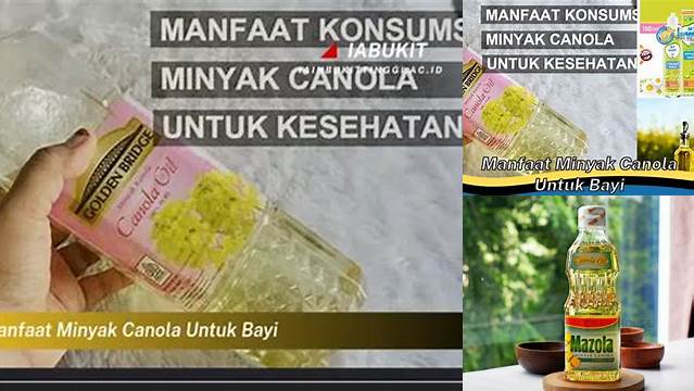 Temukan Manfaat Minyak Canola untuk Bayi yang Jarang Diketahui dan Penting untuk Anda Tahu!