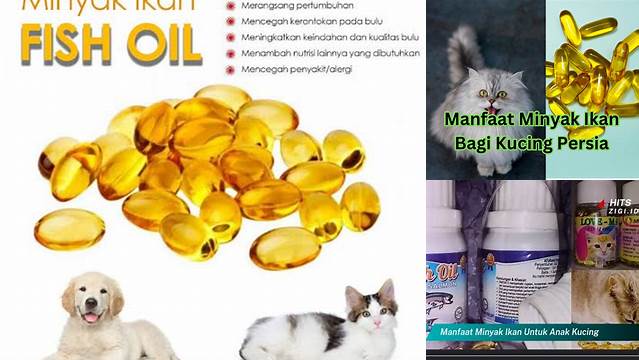 Manfaat Minyak Ikan untuk Kucing: Penemuan dan Wawasan Langka yang Perlu Anda Ketahui