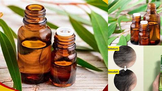 Temukan 10 Manfaat Minyak Kayu Putih untuk Rambut yang Jarang Diketahui