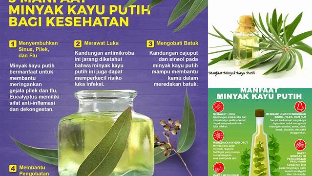 Temukan Manfaat Minyak Kayu Putih untuk Selangkangan yang Jarang Diketahui