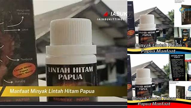 Manfaat Minyak Lintah Hitam Papua yang Jarang Diketahui, Wajib Dicoba!