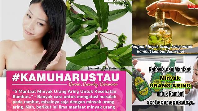 Temukan Manfaat Minyak Rambut Urang Aring yang Jarang Diketahui