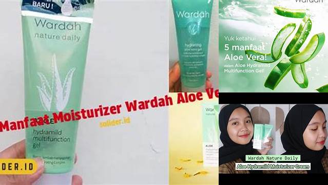 Manfaat Moisturizer Wardah Aloe Vera Tak Terduga yang Wajib Diketahui