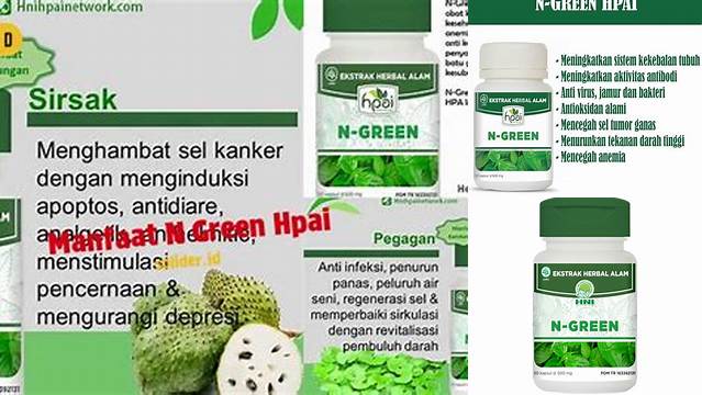 Temukan 10 Manfaat N Green HPAI yang Perlu Anda Ketahui