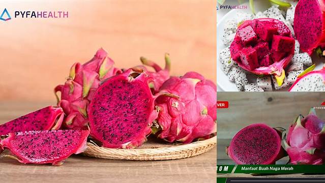 5 Manfaat Naga Merah yang Jarang Diketahui