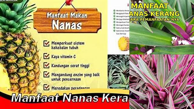 Manfaat Nanas Kerang yang Jarang Diketahui, Wajib Dibaca!