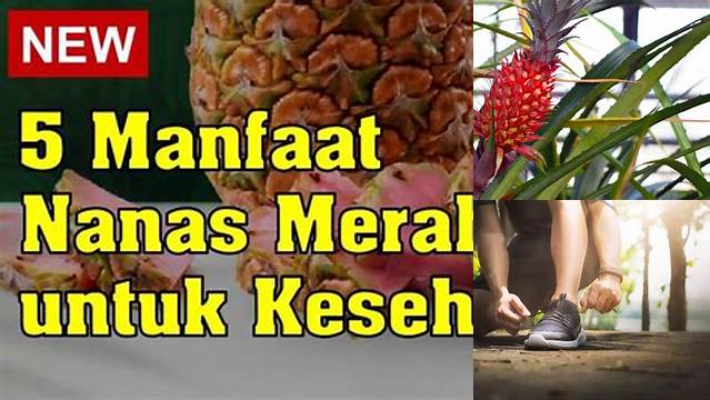 Manfaat Nanas Merah yang Tak Terduga, Wajib Tahu!