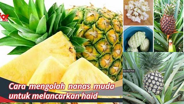 Manfaat Nanas Muda untuk Haid yang Jarang Diketahui, Yuk Kepoin!