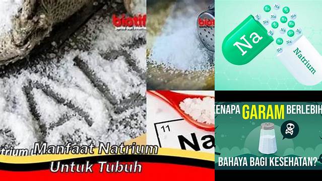 Temukan Berbagai Manfaat Natrium yang Jarang Diketahui