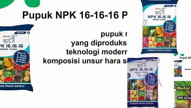 Temukan Manfaat NPK 16 16 16 yang Jarang Diketahui