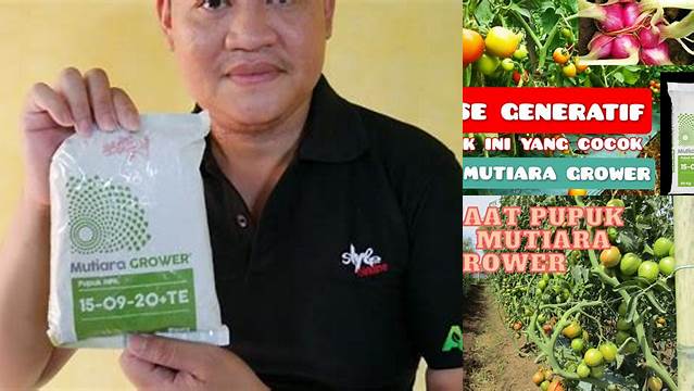Temukan Manfaat NPK Grower yang Jarang Diketahui