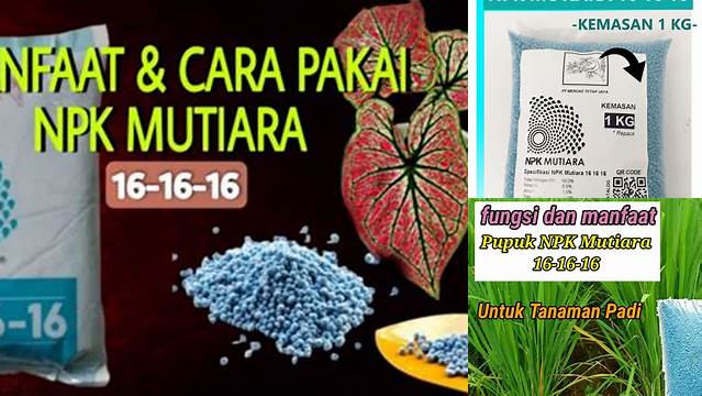 Temukan Manfaat NPK Mutiara yang Jarang Diketahui, Wajib Kamu Tahu!