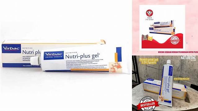 Temukan 9 Manfaat Nutri Plus Gel yang Jarang Diketahui untuk Kesehatan Anda