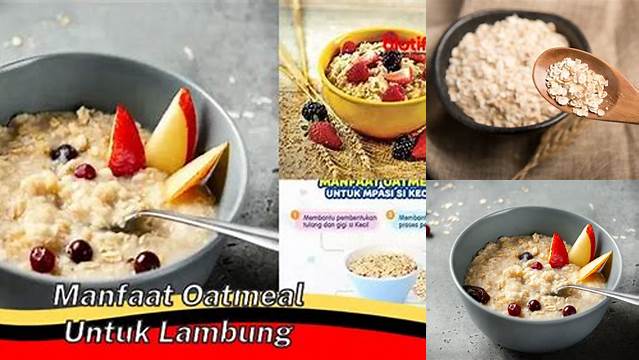 Temukan Manfaat Luar Biasa Oatmeal untuk Lambung yang Jarang Diketahui