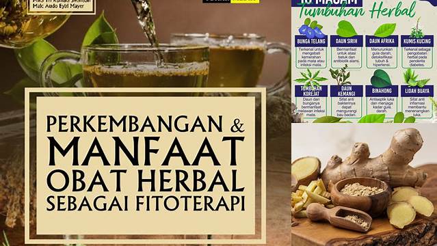 Temukan Rahasia Manfaat Obat Herbal yang Jarang Diketahui