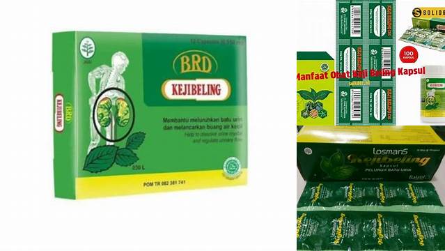 Temukan Khasiat Obat Keji Beling Kapsul yang Jarang Diketahui