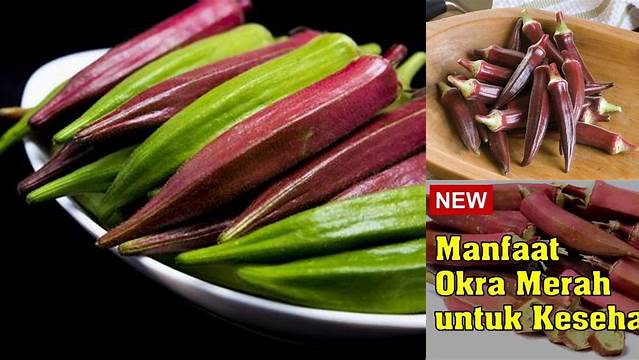 Temukan Manfaat Okra Merah yang Jarang Diketahui