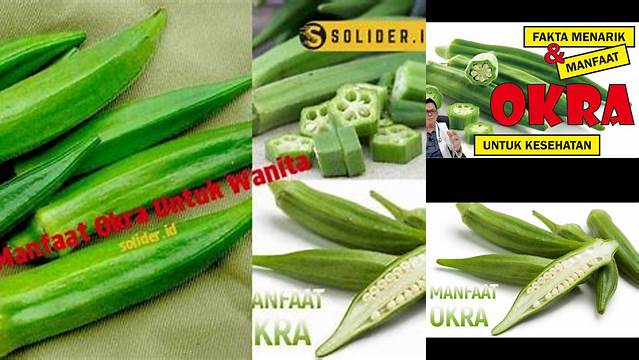 Temukan Manfaat Okra untuk Wanita yang Belum Banyak Diketahui