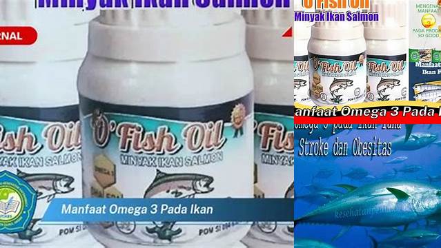 Manfaat Omega 3 Pada Ikan, Temukan Fakta-fakta Pentingnya