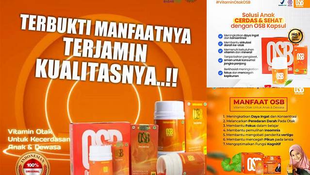 10 Manfaat OSB Kapsul yang Jarang Diketahui