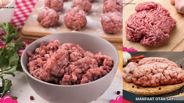 Manfaat Otak Sapi untuk Bayi: Temuan dan Wawasan Menakjubkan yang Perlu Anda Ketahui