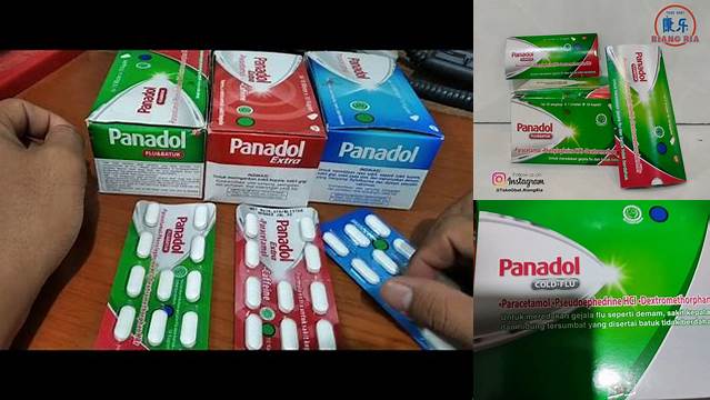 Temukan 7 Manfaat Panadol Hijau yang Jarang Diketahui