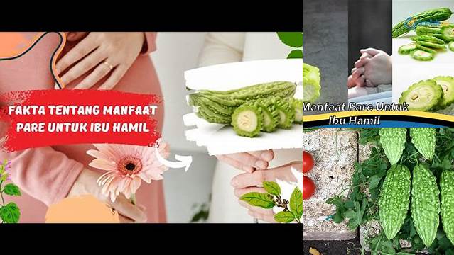 Manfaat Pare untuk Ibu Hamil: Temuan dan Wawasan Langka