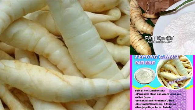 Temukan 6 Manfaat Pati Kerut yang Jarang Diketahui