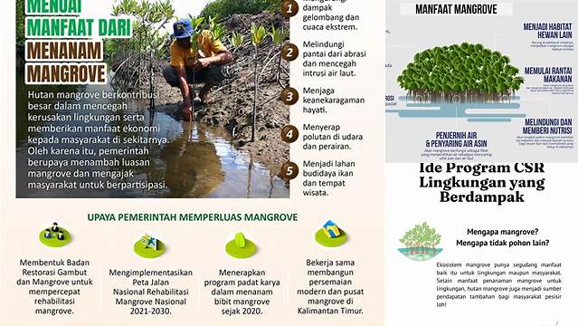 Temukan 10 Manfaat Penanaman Mangrove yang Jarang Diketahui