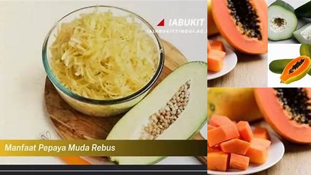 Temukan Manfaat Pepaya Muda Rebus yang Belum Diketahui