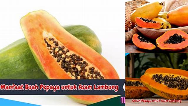 Temukan Manfaat Pepaya untuk Asam Lambung yang Jarang Diketahui