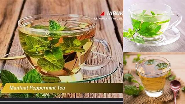 15 Manfaat Peppermint Tea yang Perlu Anda Tahu