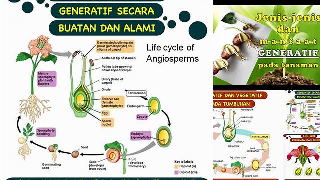 Temukan Beragam Manfaat Perkembangbiakan Generatif yang Jarang Diketahui