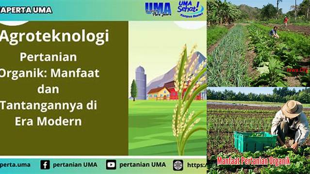 Ungkap Manfaat Pertanian Organik yang Jarang Diketahui