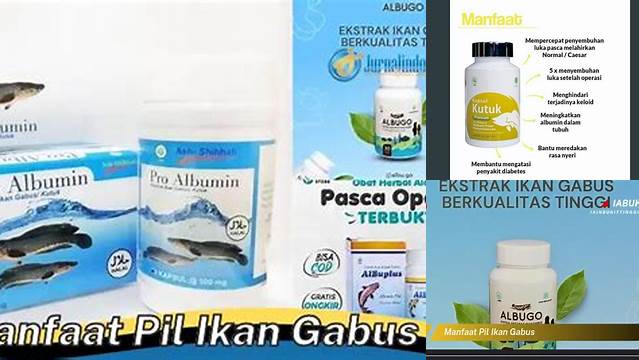 Temukan Manfaat Pil Gabus yang Jarang Diketahui