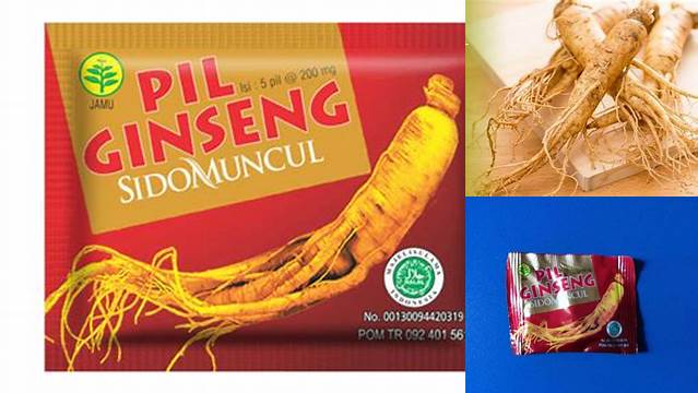 Temukan Berbagai Manfaat Pil Ginseng Sidomuncul yang Jarang Diketahui