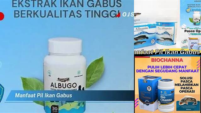 Temukan Khasiat Pil Ikan Gabus Yang Jarang Diketahui, Anda Pasti Terkejut!