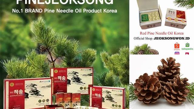 Temukan Manfaat Pinus Merah Korea yang Jarang Diketahui dan Penting untuk Anda Ketahui