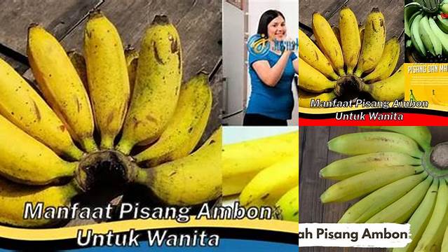 Temukan Manfaat Pisang Ambon Untuk Wanita yang Jarang Diketahui